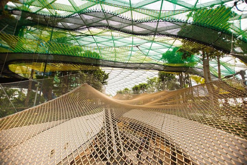 Canopy Park at Jewel