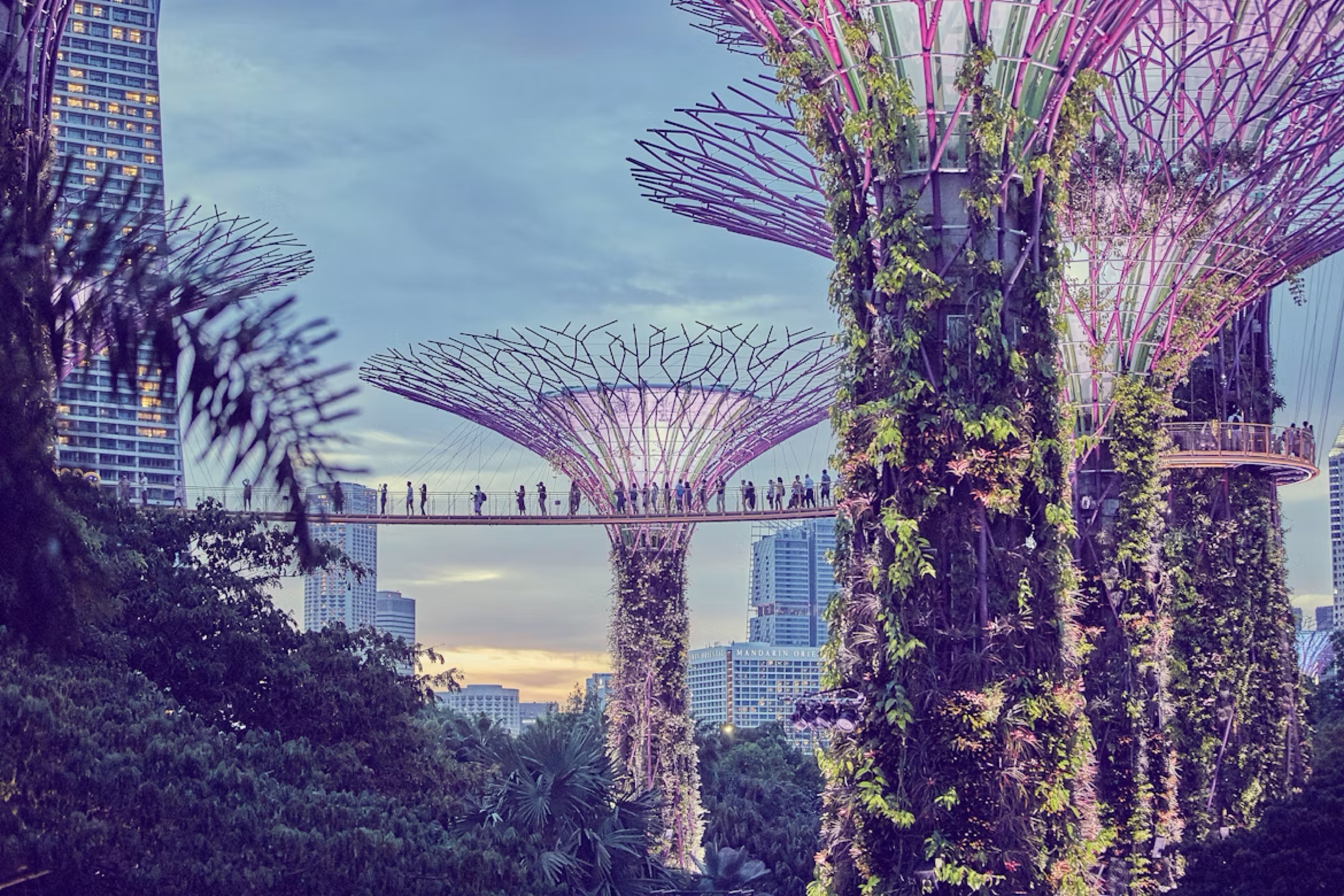 The Cloud Forest at Gardens by the Bay