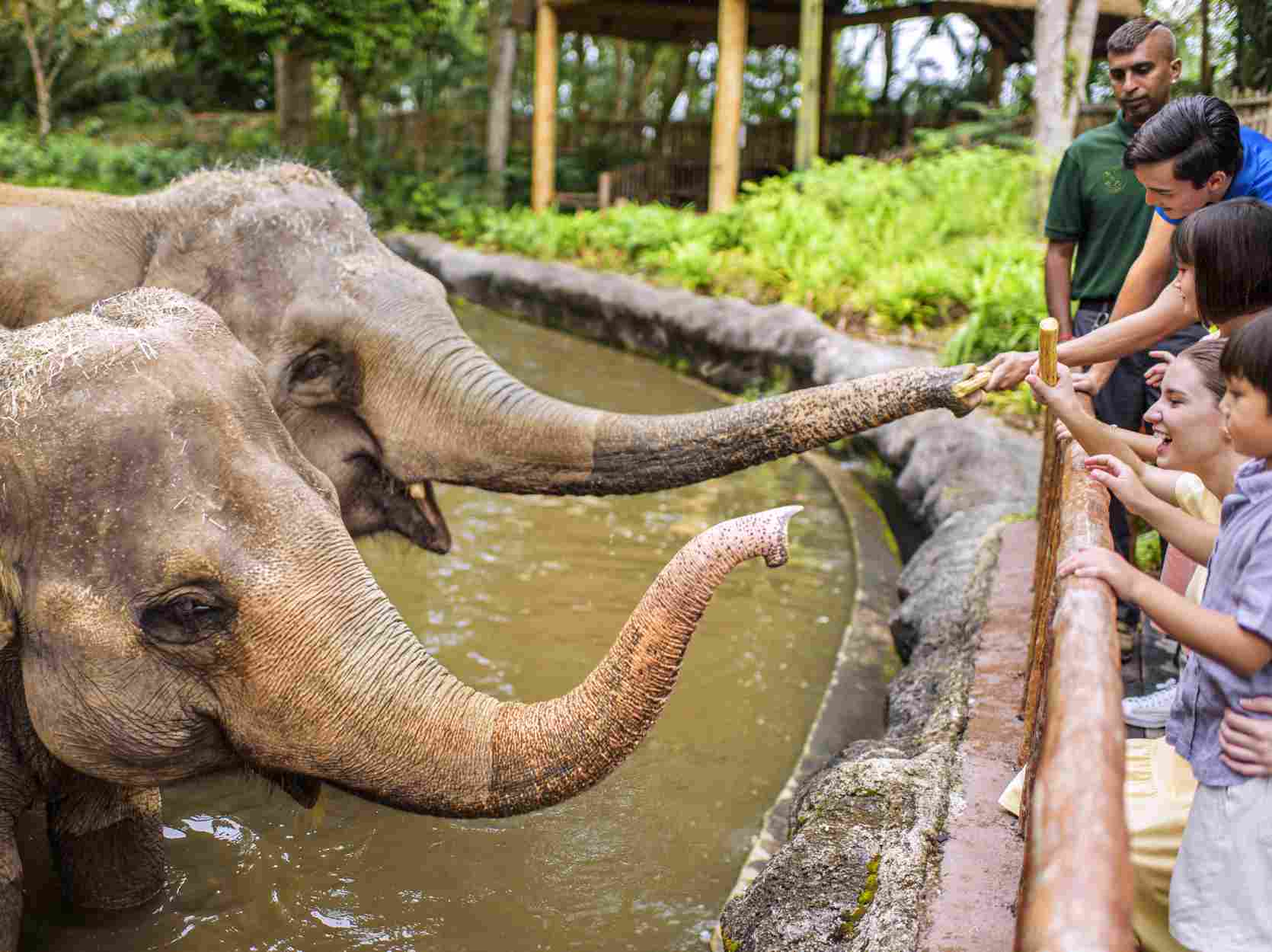 Singapore Zoo & River Wonders